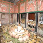 Vraj-Yatra-2014- (1180)